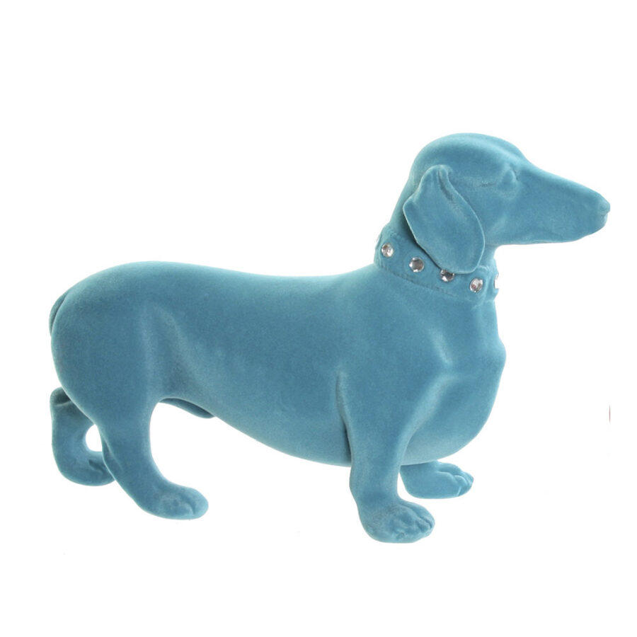 Perro salchicha azul
