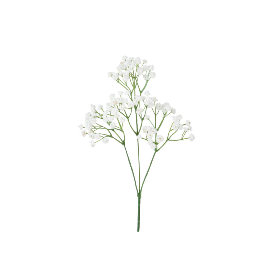 Paniculata en color blanco